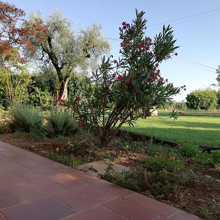 Villa Caterina Country Apartment Bedizzole Bagian luar foto