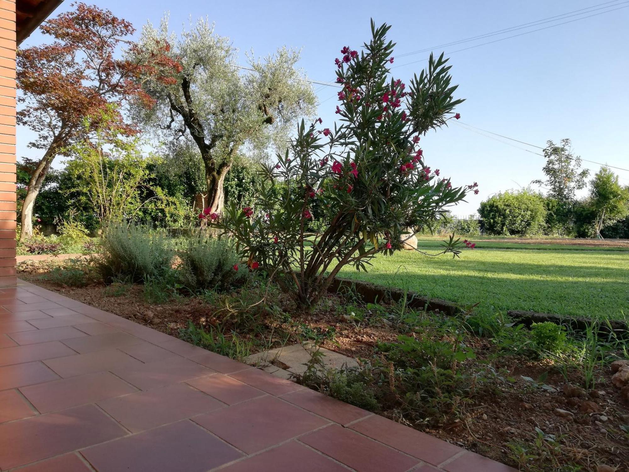 Villa Caterina Country Apartment Bedizzole Bagian luar foto